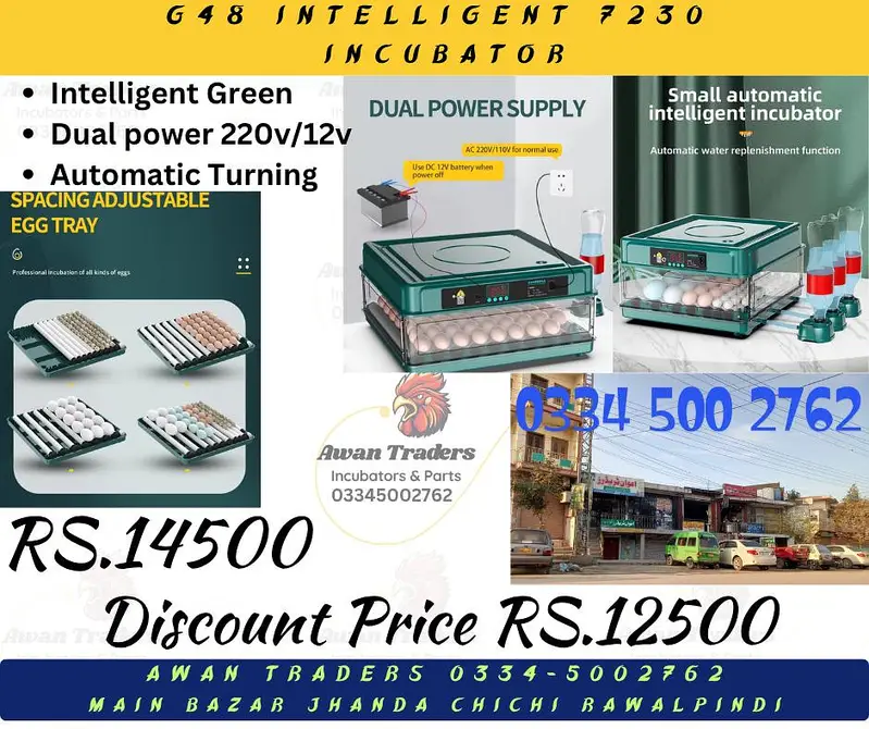 Discounted Prices of Intelligent, Home Intelligent & Weqin Incubators — photo 2