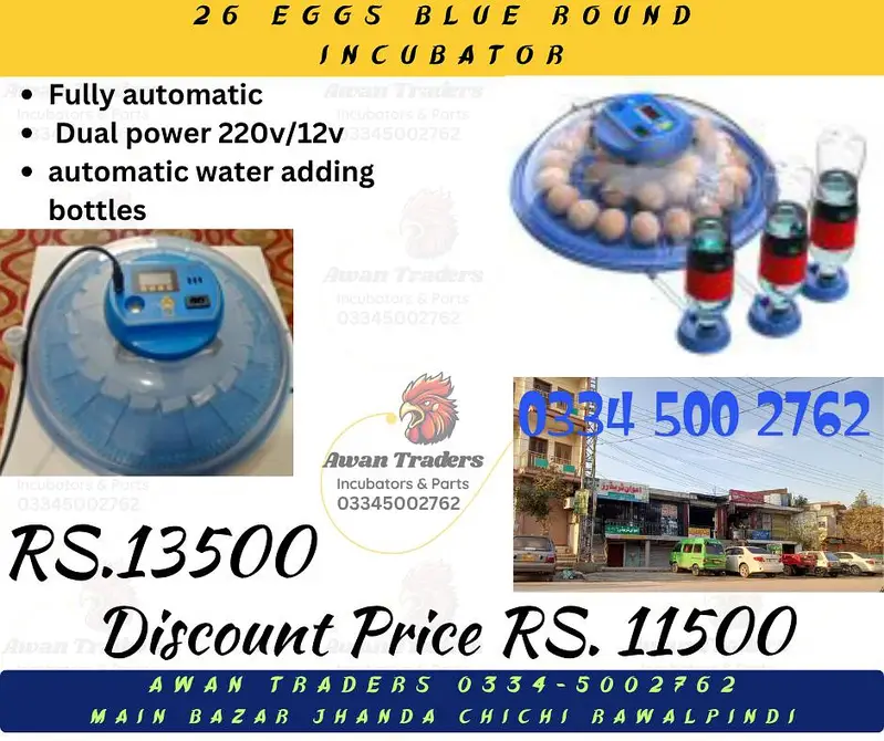 Discounted Prices of Intelligent, Home Intelligent & Weqin Incubators — photo 4