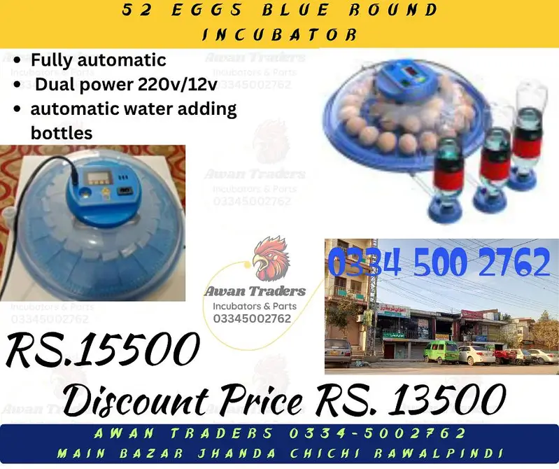 Discounted Prices of Intelligent, Home Intelligent & Weqin Incubators — photo 5
