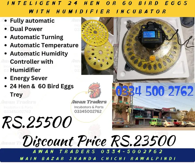 Discounted Prices of Intelligent, Home Intelligent & Weqin Incubators — photo 6