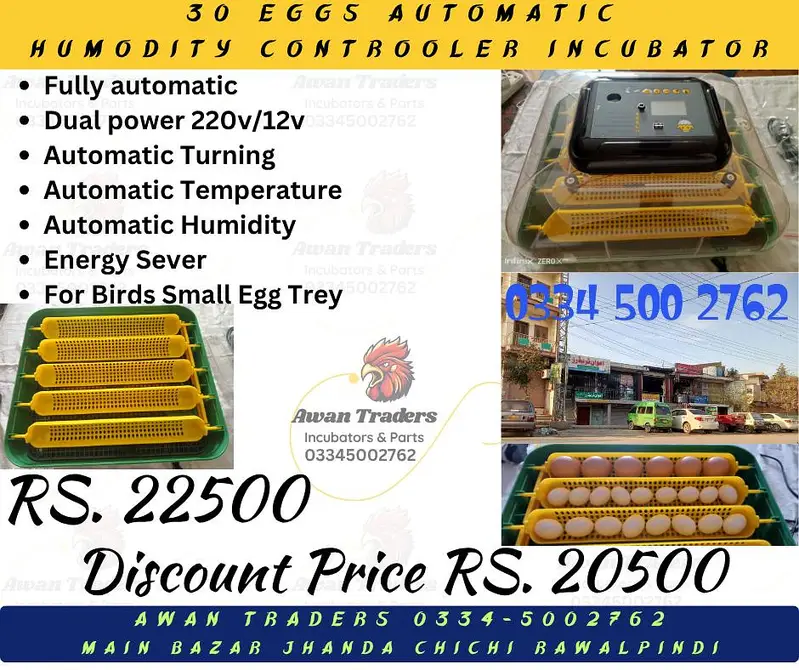 Discounted Prices of Intelligent, Home Intelligent & Weqin Incubators — photo 9