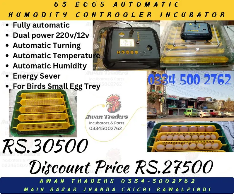 Discounted Prices of Intelligent, Home Intelligent & Weqin Incubators — photo 10