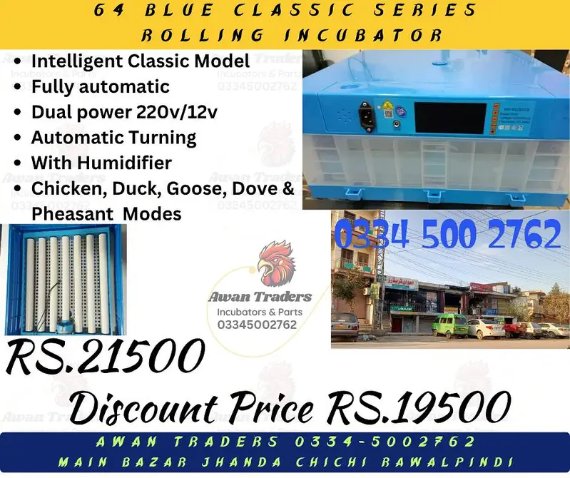 Discounted Prices of Intelligent, Home Intelligent & Weqin Incubators — photo 11