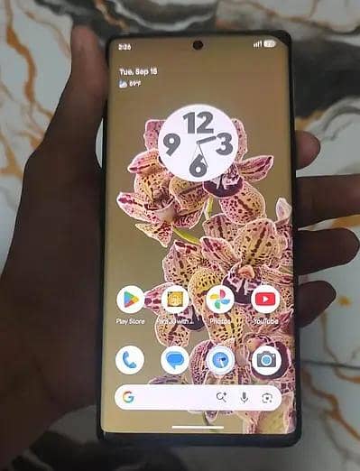 Google Pixel 6 Pro
