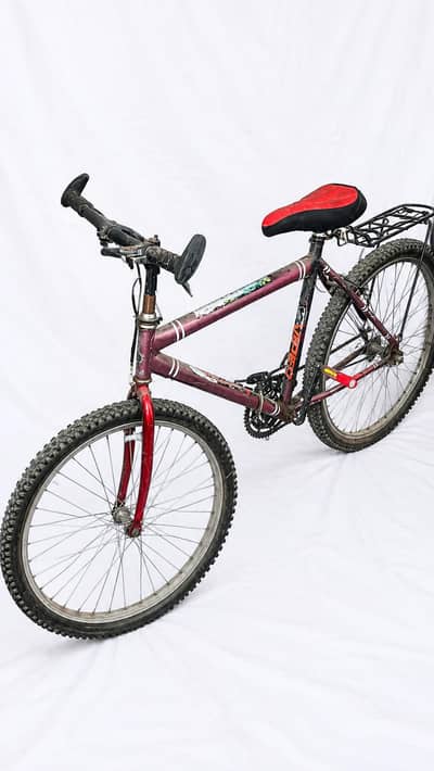 24 Number Cycle for 8 to 15 year old kids