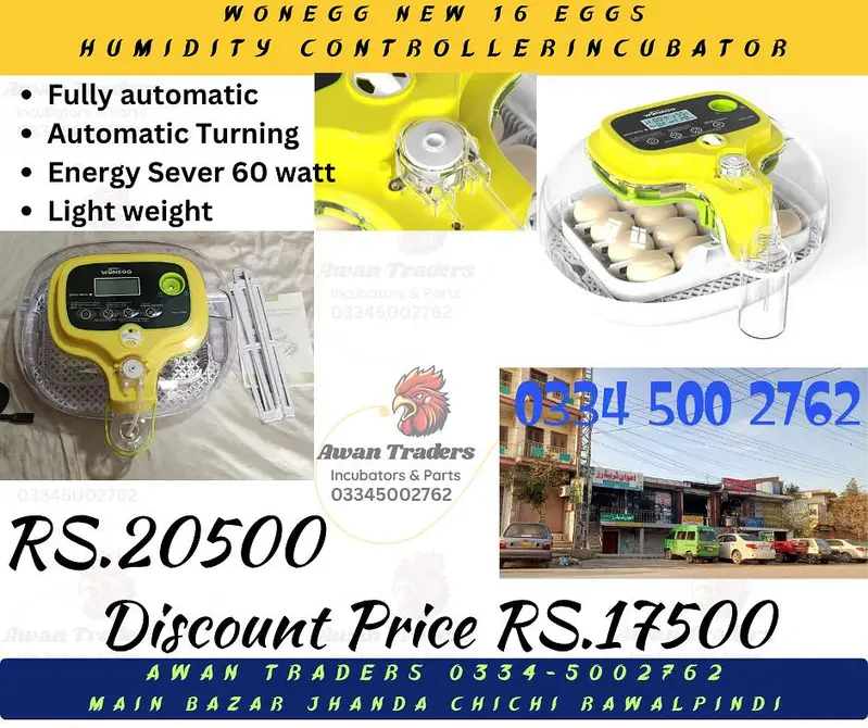 Discounted Prices HHD, WONEGG & YIWAN Incubators — photo 2