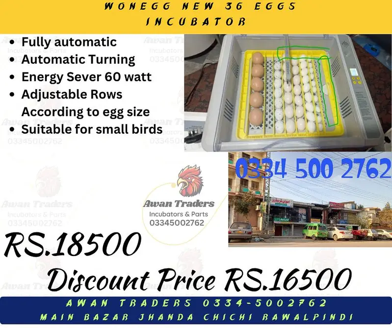 Discounted Prices HHD, WONEGG & YIWAN Incubators — photo 3