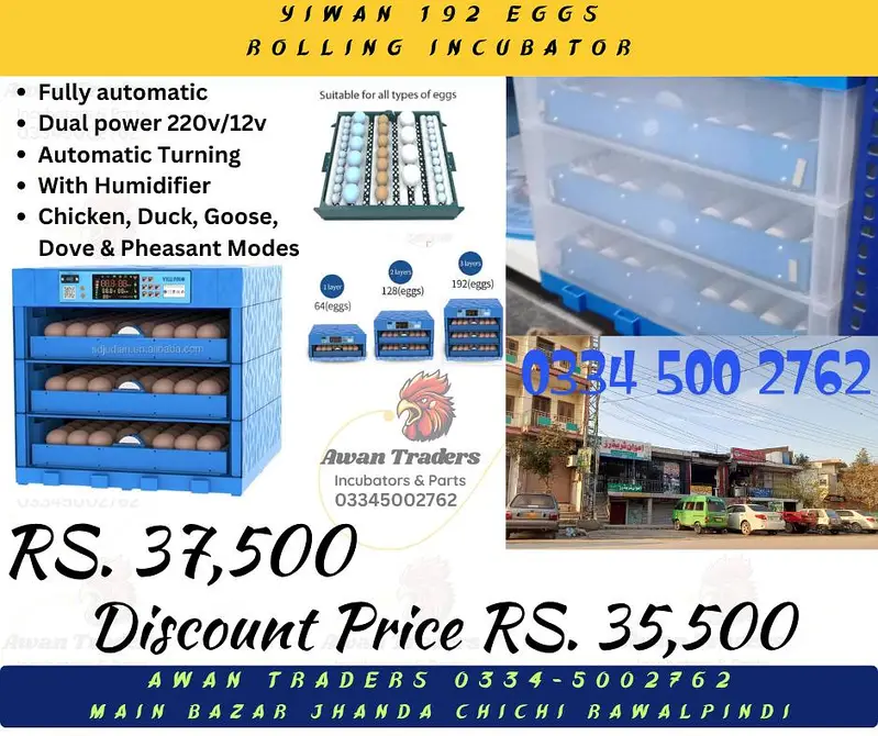 Discounted Prices HHD, WONEGG & YIWAN Incubators — photo 4