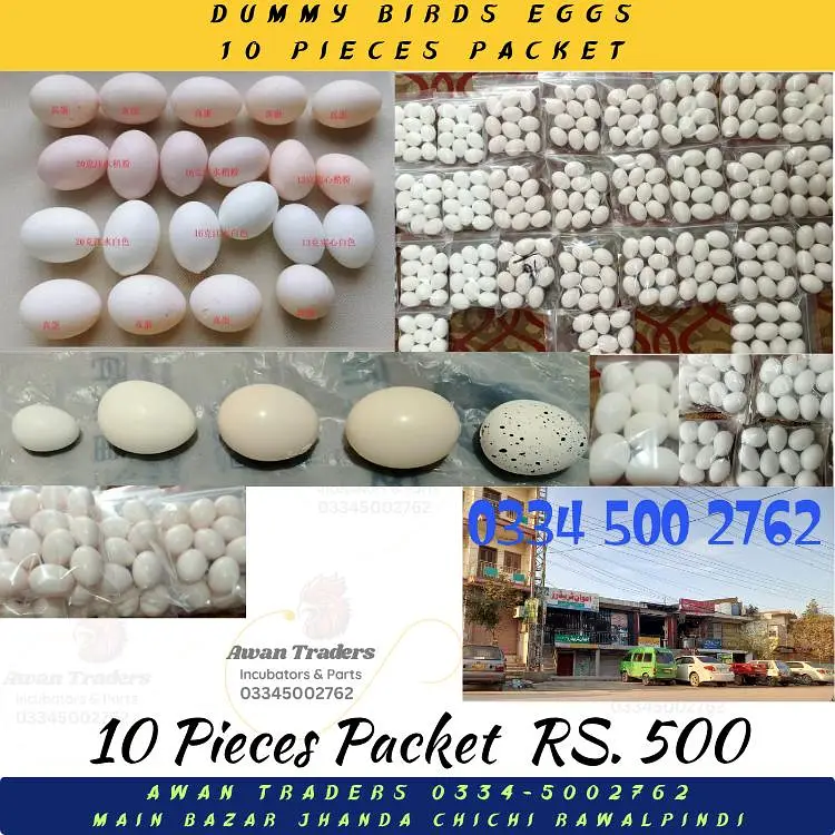 Discounted Prices HHD, WONEGG & YIWAN Incubators — photo 6