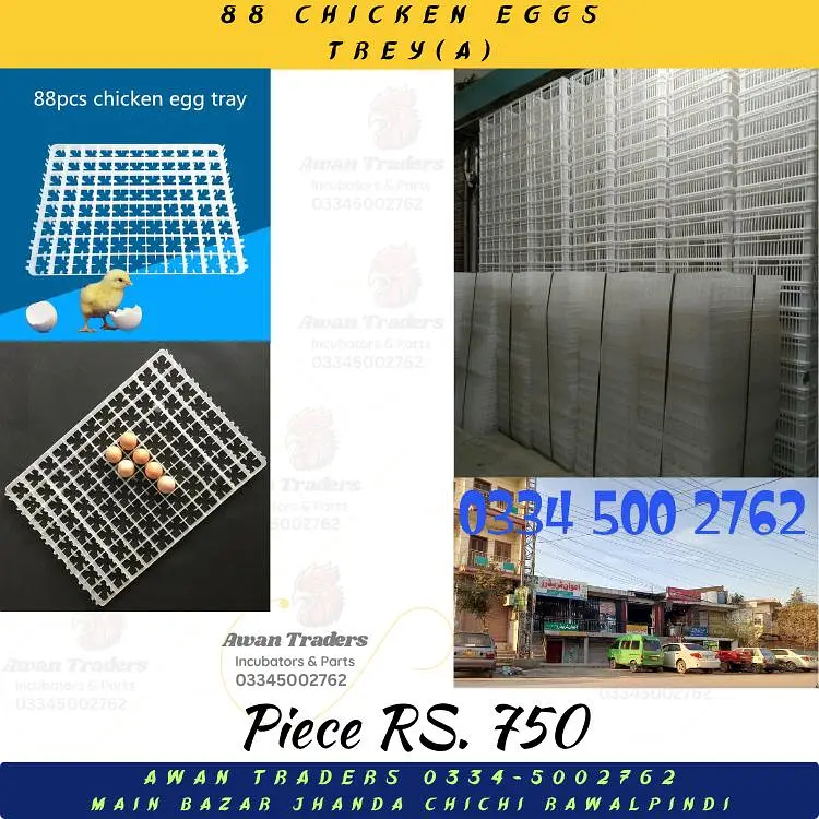 Discounted Prices HHD, WONEGG & YIWAN Incubators — photo 8