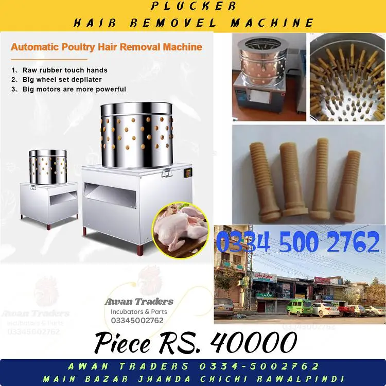 Discounted Prices HHD, WONEGG & YIWAN Incubators — photo 9