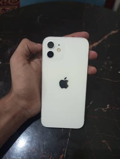 Apple iPhone 12 olx pai hi rabta kra num Pai nai