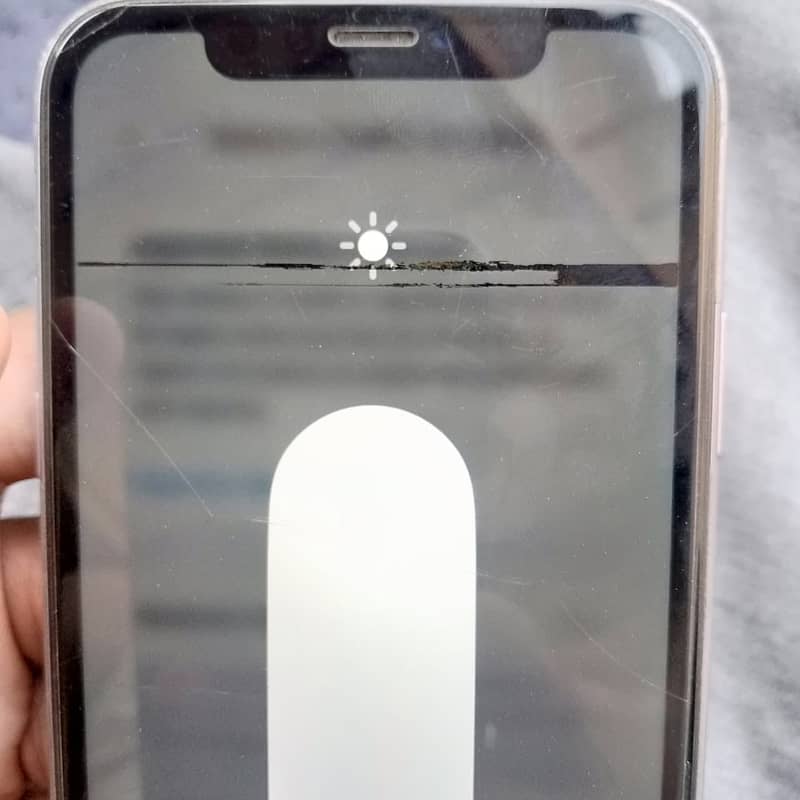 Apple iPhone 11 1