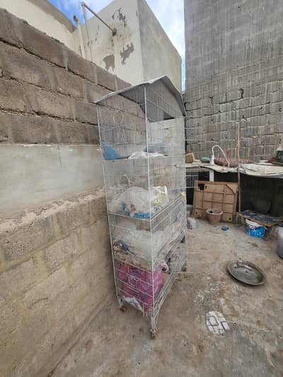 Pinjra For Sale Urgent Sale cage