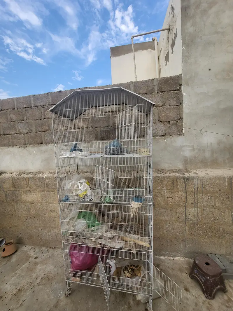 Pinjra For Sale Urgent Sale cage — photo 2
