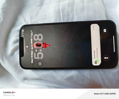 Apple iPhone 12 Pro Max