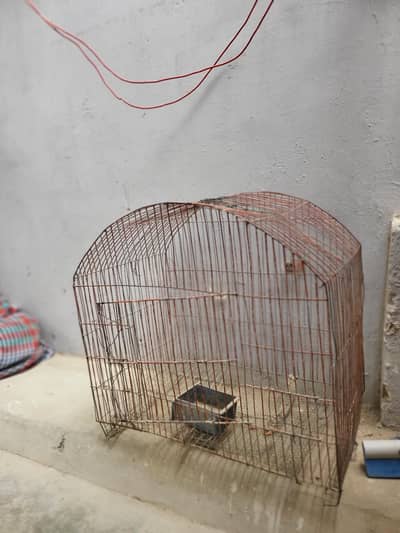 Pinjra For Sale Urgent Sale cage