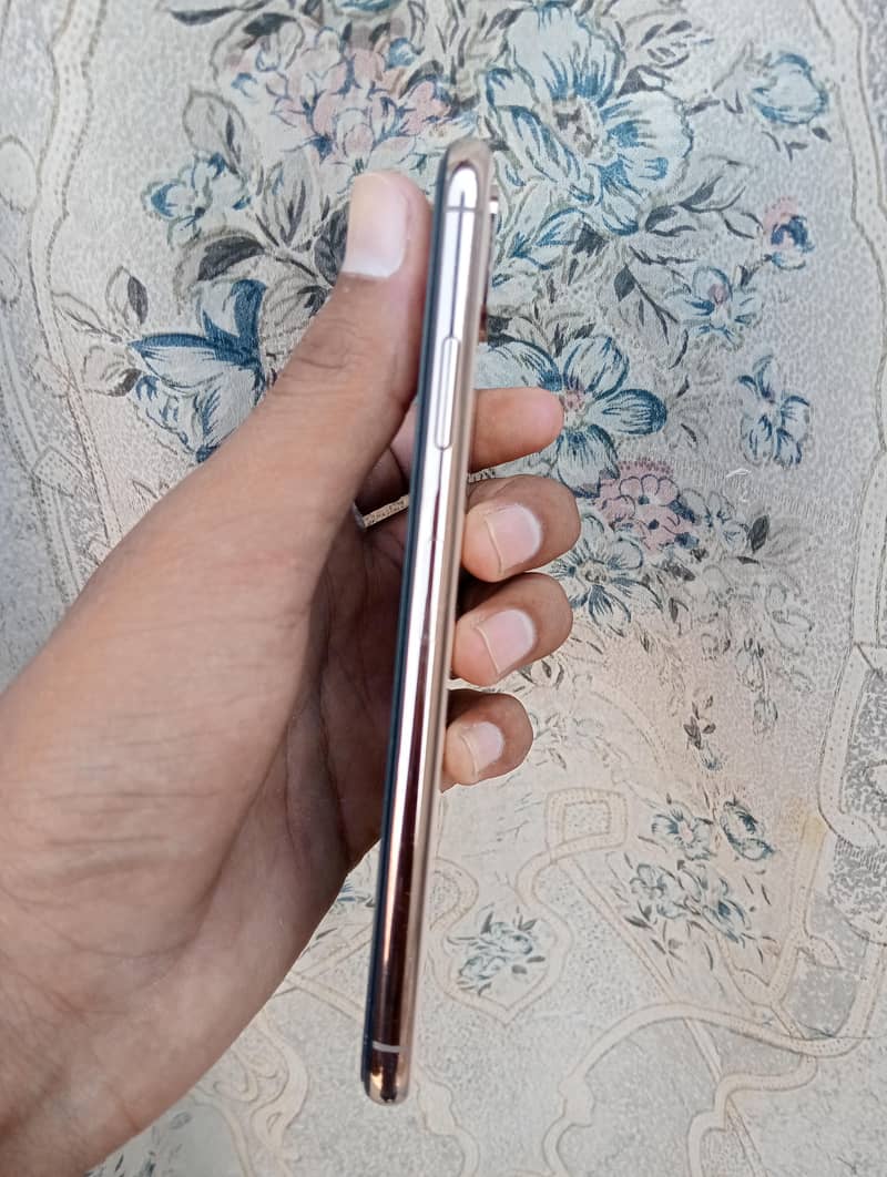 Apple iPhone XS Max 2