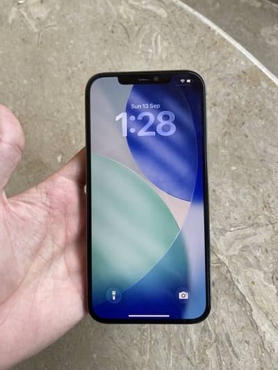 Apple iPhone 12 Pro Max
