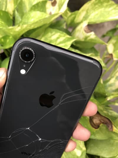 Apple iPhone XR