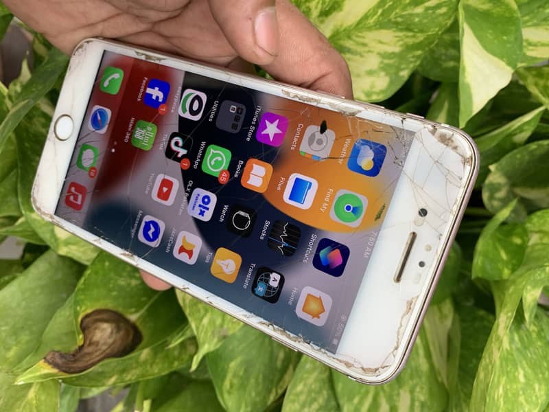Apple iPhone 7 Plus 2