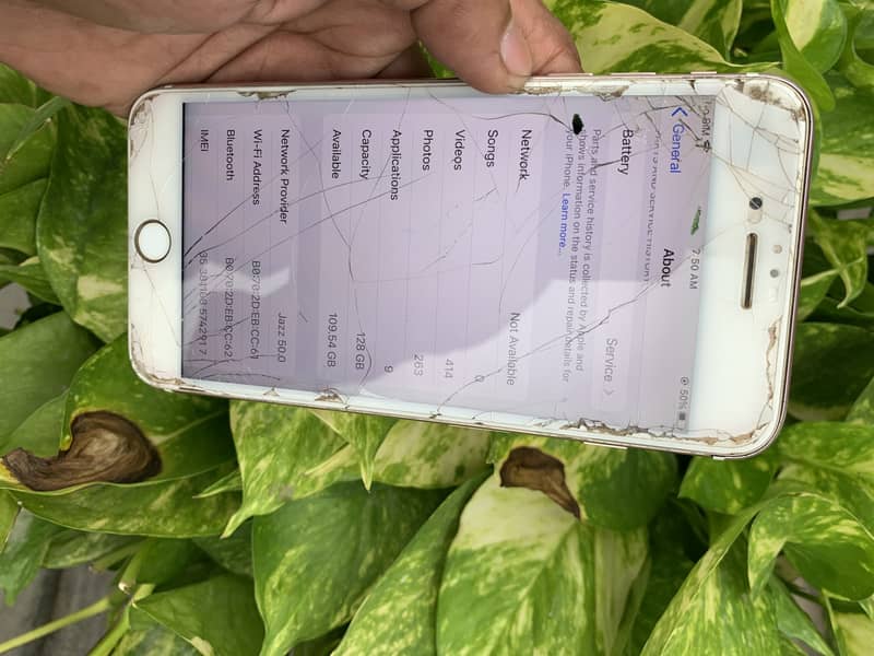 Apple iPhone 7 Plus 3