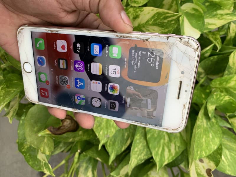 Apple iPhone 7 Plus 5