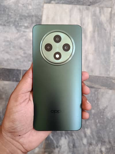 OPPO Reno12 F 8/256