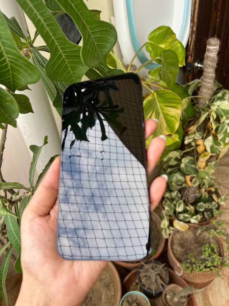 Apple iPhone 12 Pro Max 1