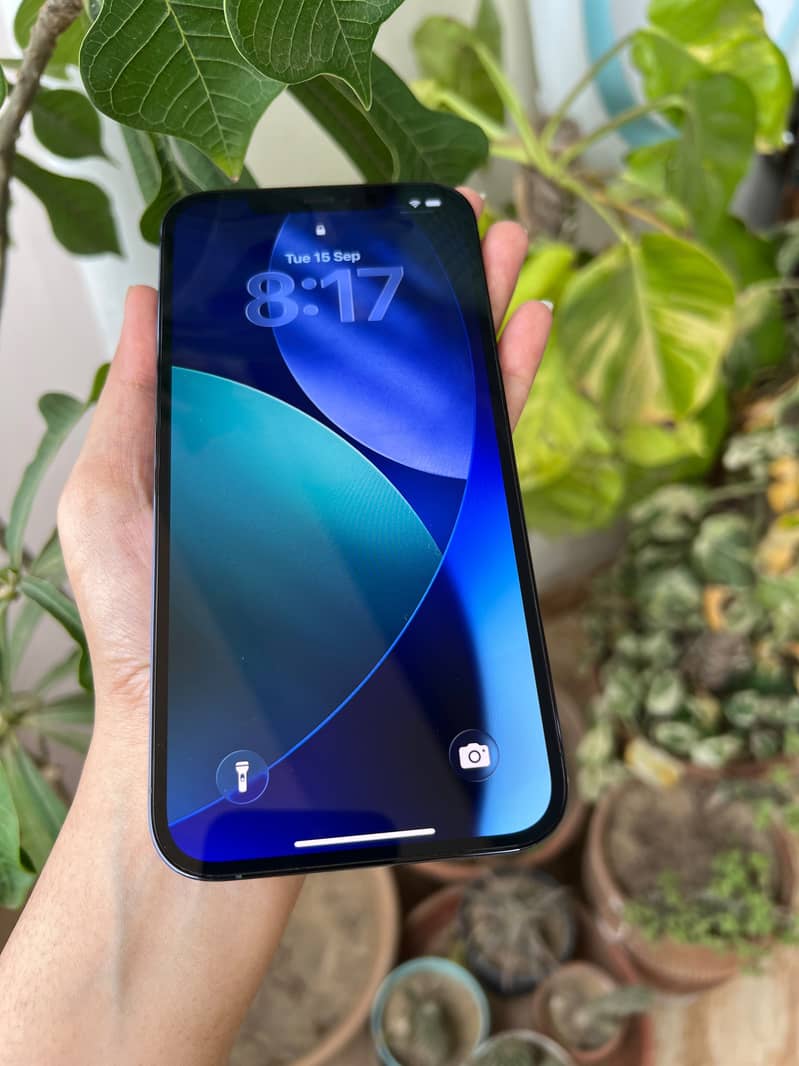 Apple iPhone 12 Pro Max 2