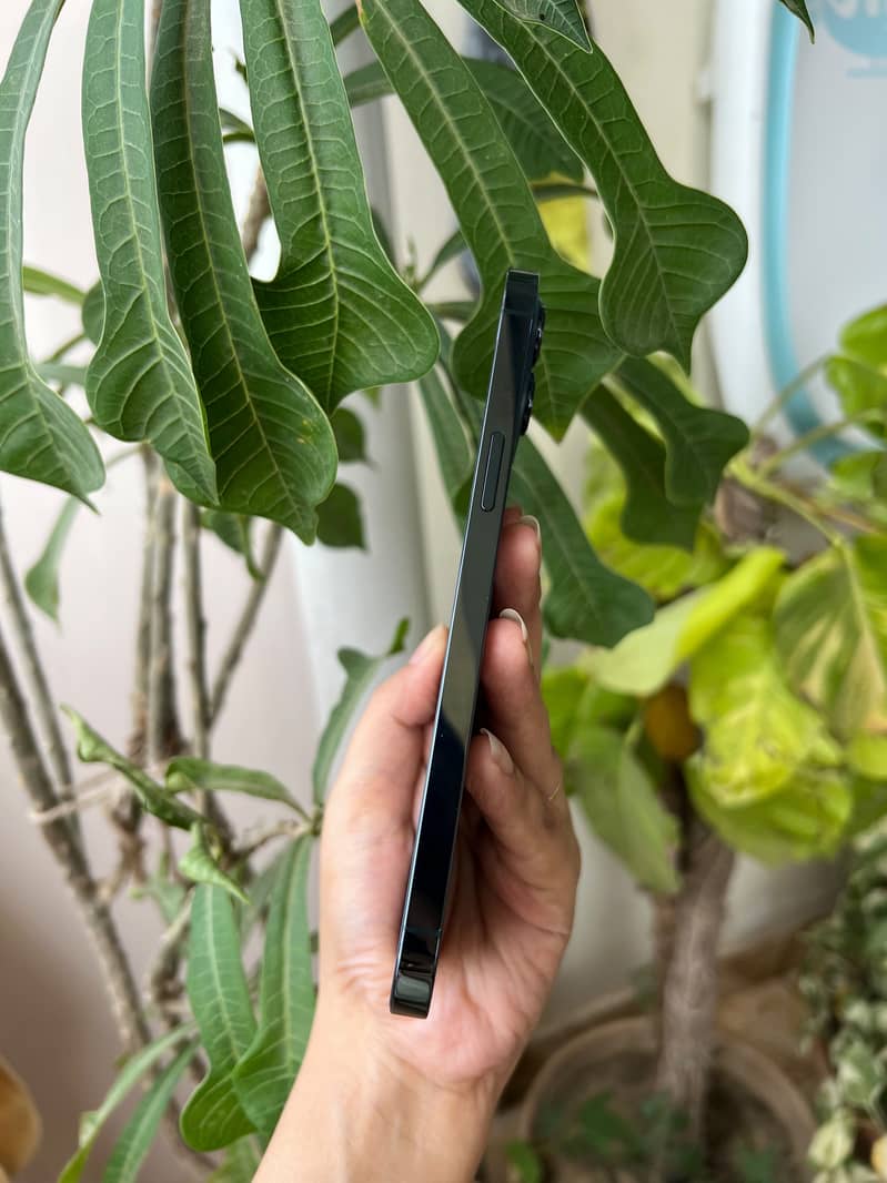 Apple iPhone 12 Pro Max 3