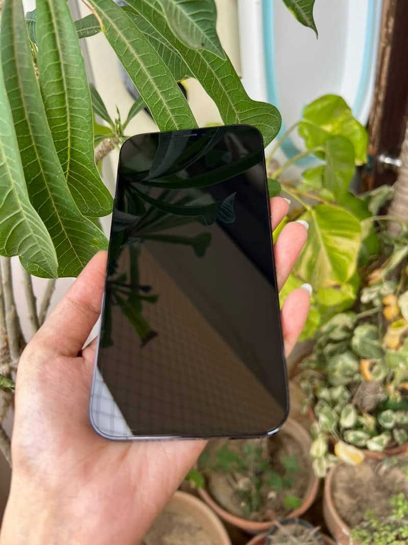 Apple iPhone 12 Pro Max 5