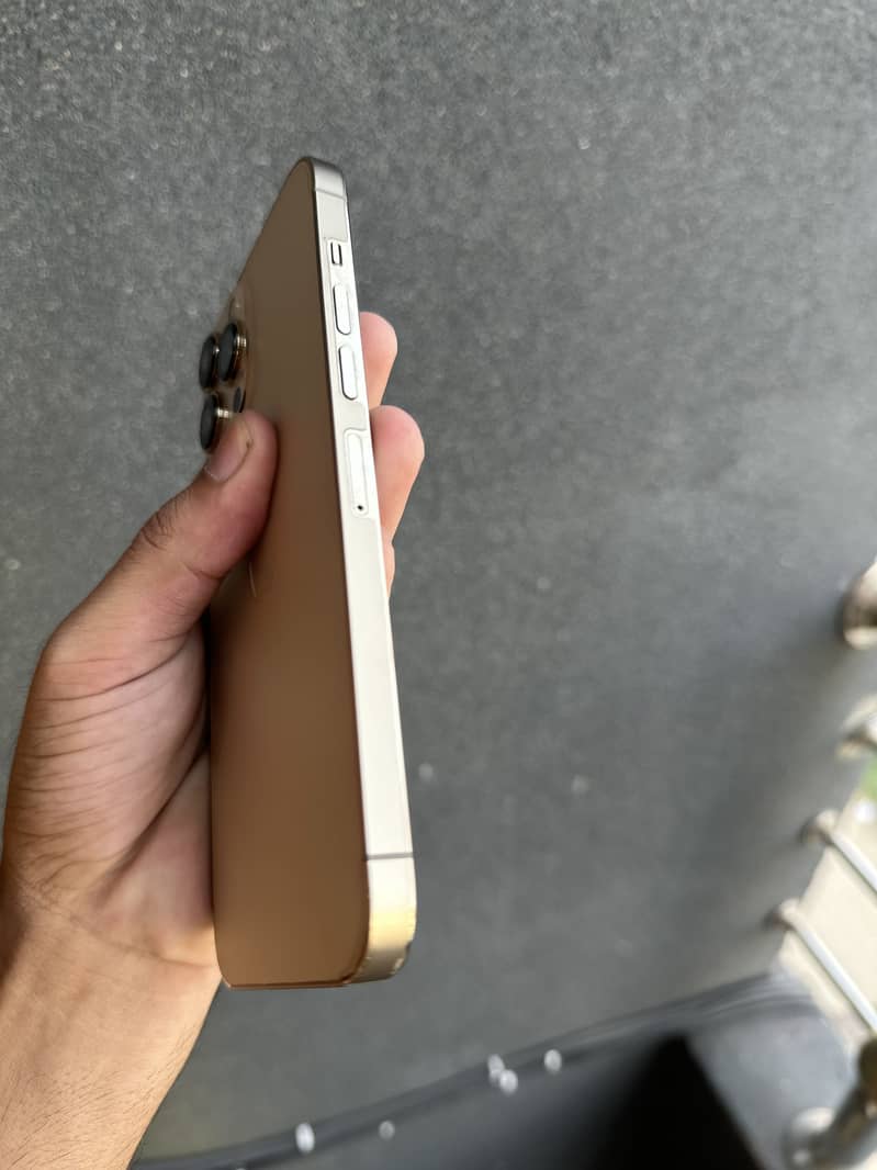 Apple iPhone 13 Pro Max 1