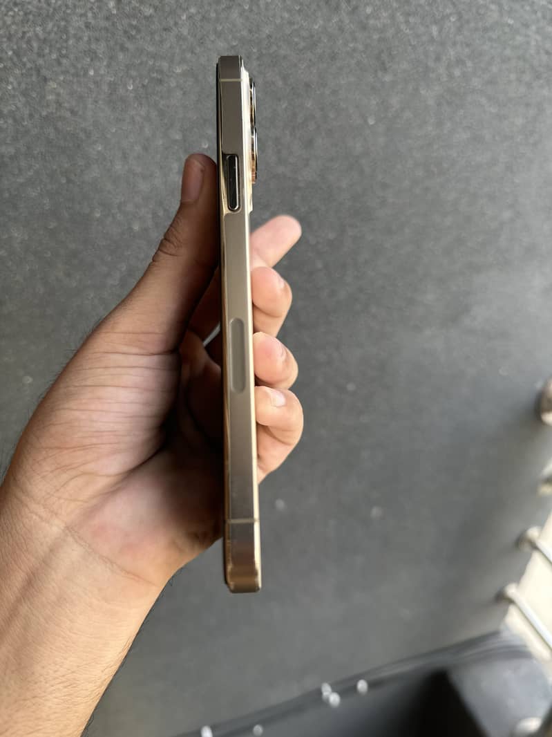 Apple iPhone 13 Pro Max 2