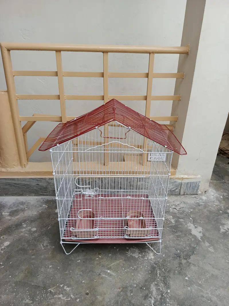 Birds & Cat Cage , Big Size, Just like New,