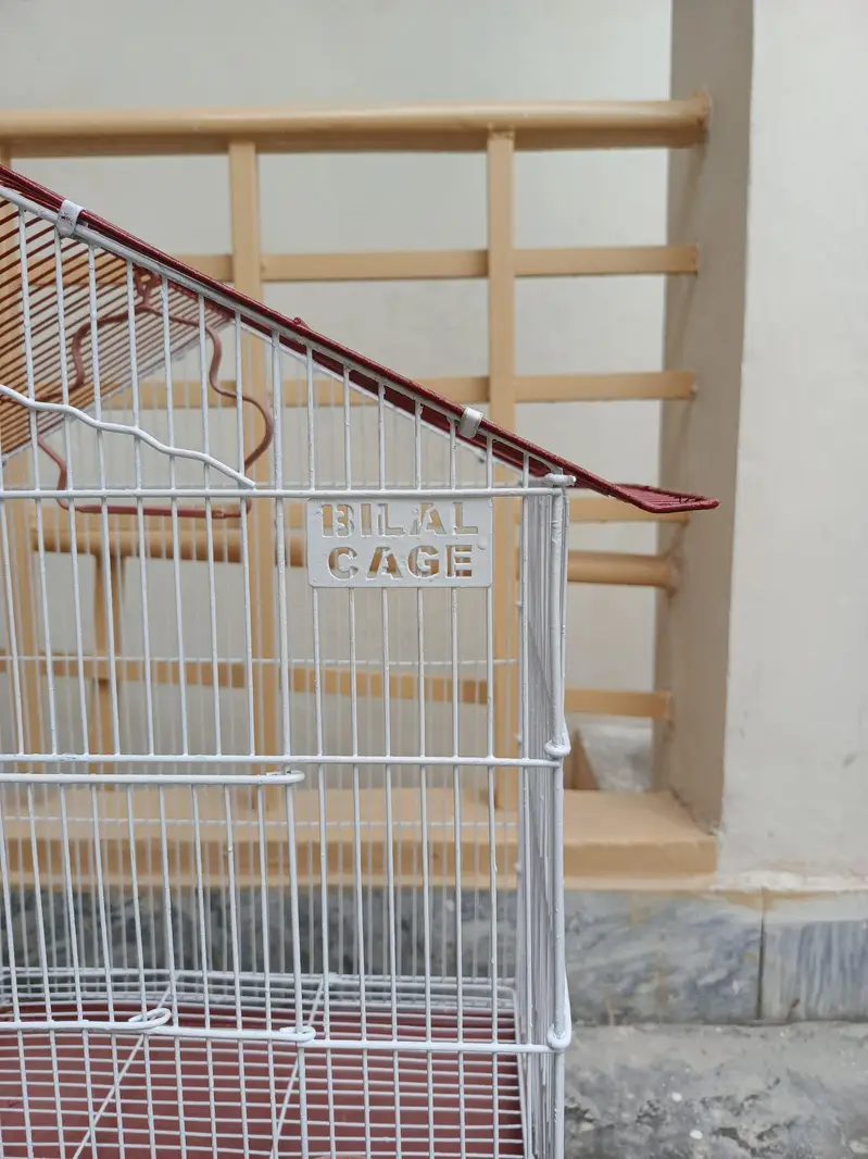 Birds & Cat Cage , Big Size, Just like New, — photo 4