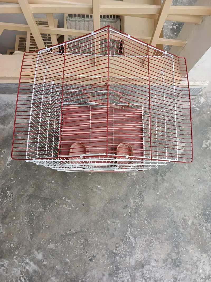 Birds & Cat Cage , Big Size, Just like New, — photo 5