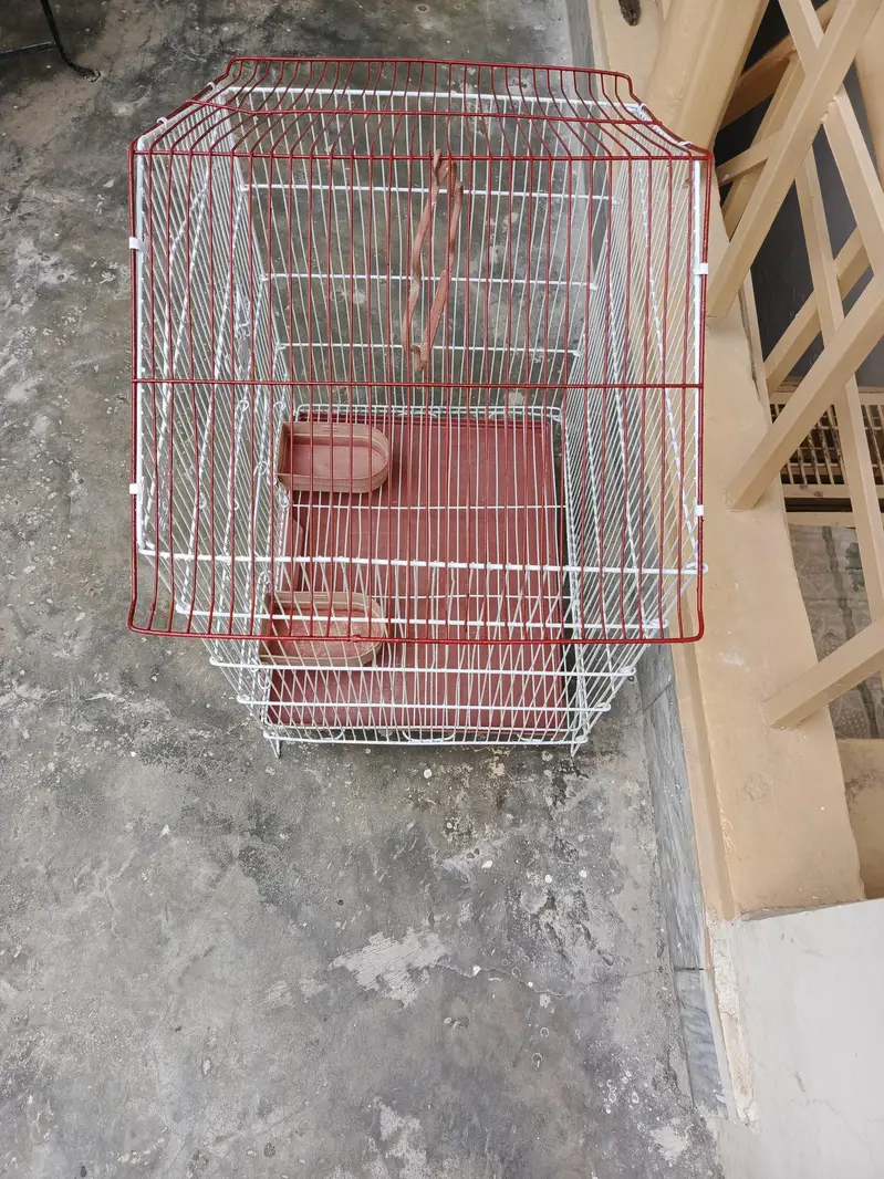 Birds & Cat Cage , Big Size, Just like New, — photo 6