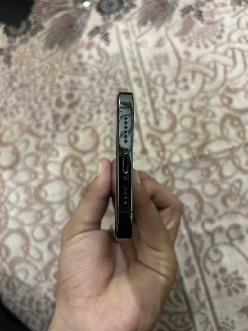 Apple iPhone 13 Pro Max 2