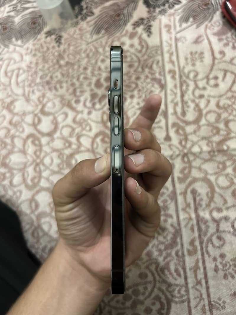 Apple iPhone 13 Pro Max 6