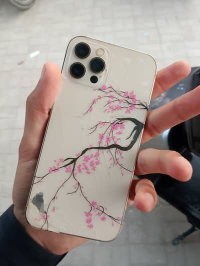 Apple iPhone 12 Pro