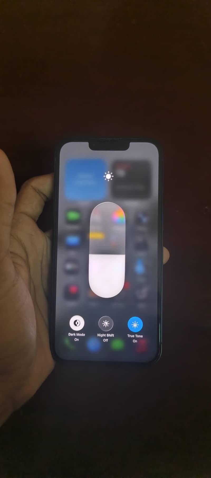 Apple iPhone 13 0