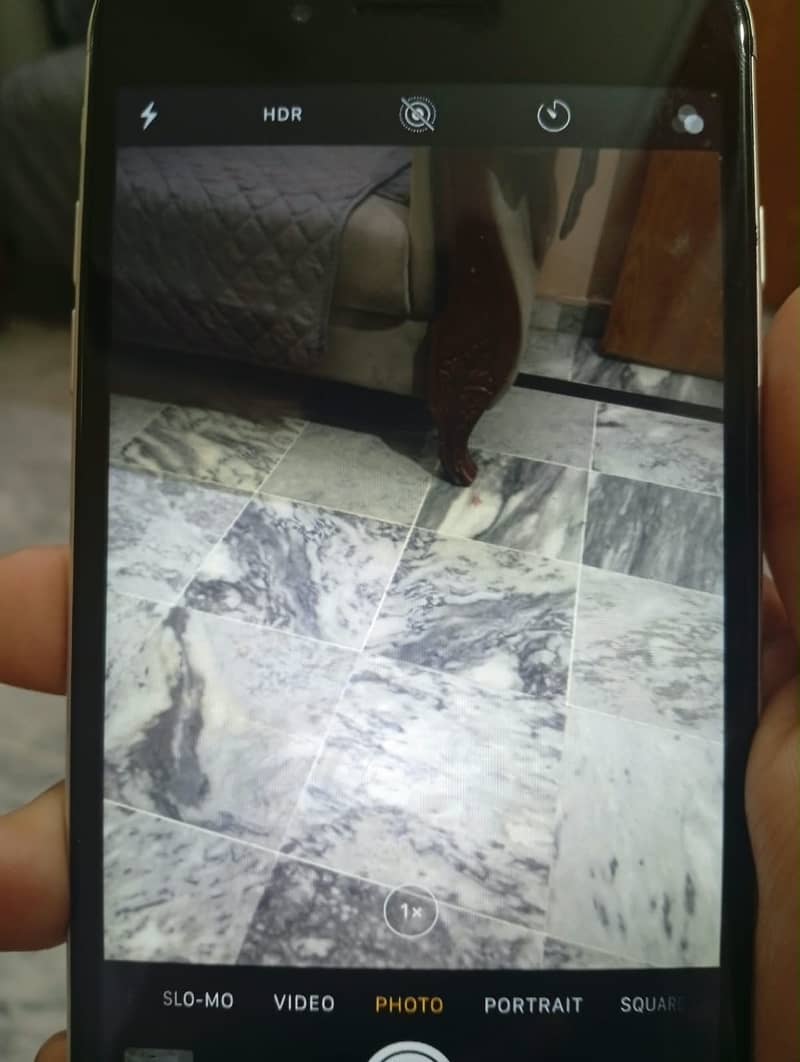 Apple iPhone 7 Plus 7