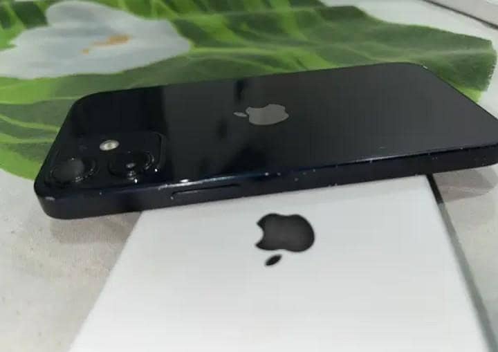 Apple iPhone 12 mini 6