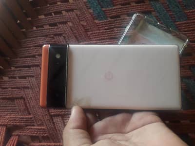 Google Pixel 6 panel need