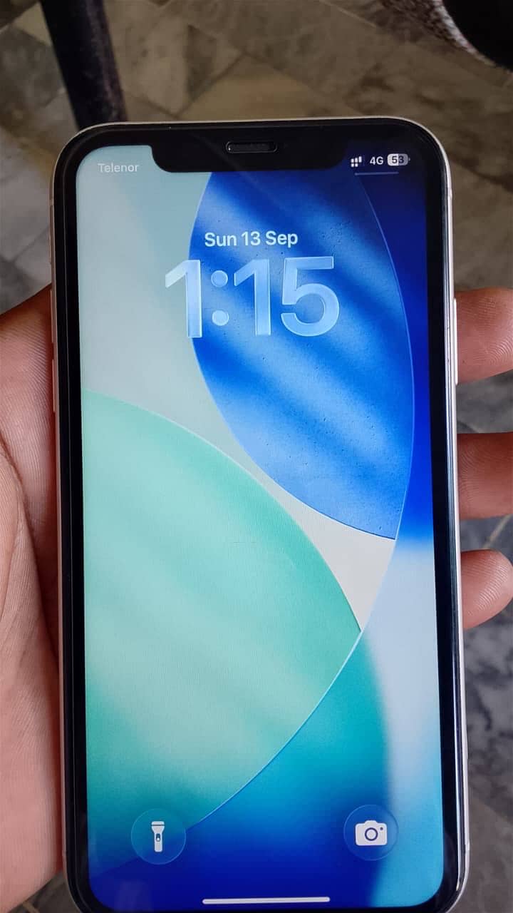 Apple iPhone 11 4