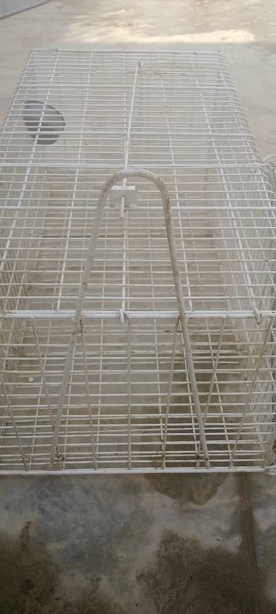catch cage