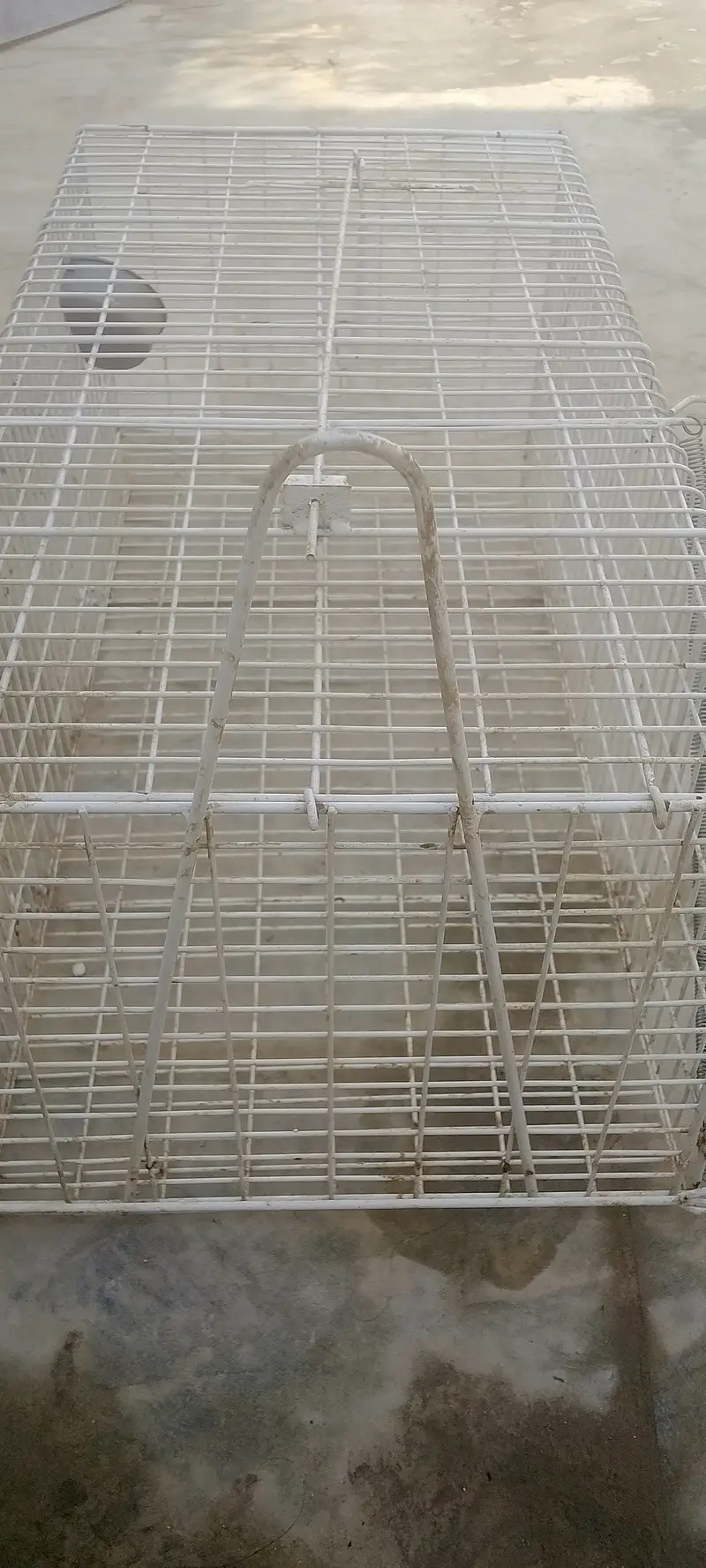 catch cage