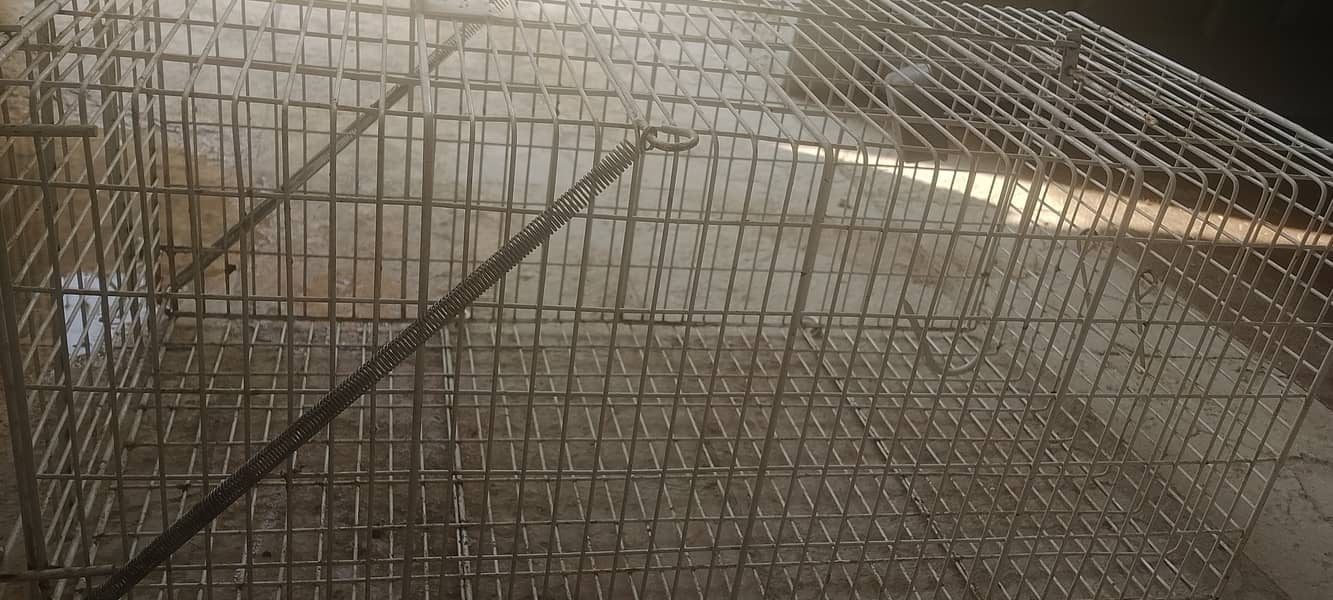 catch cage 1