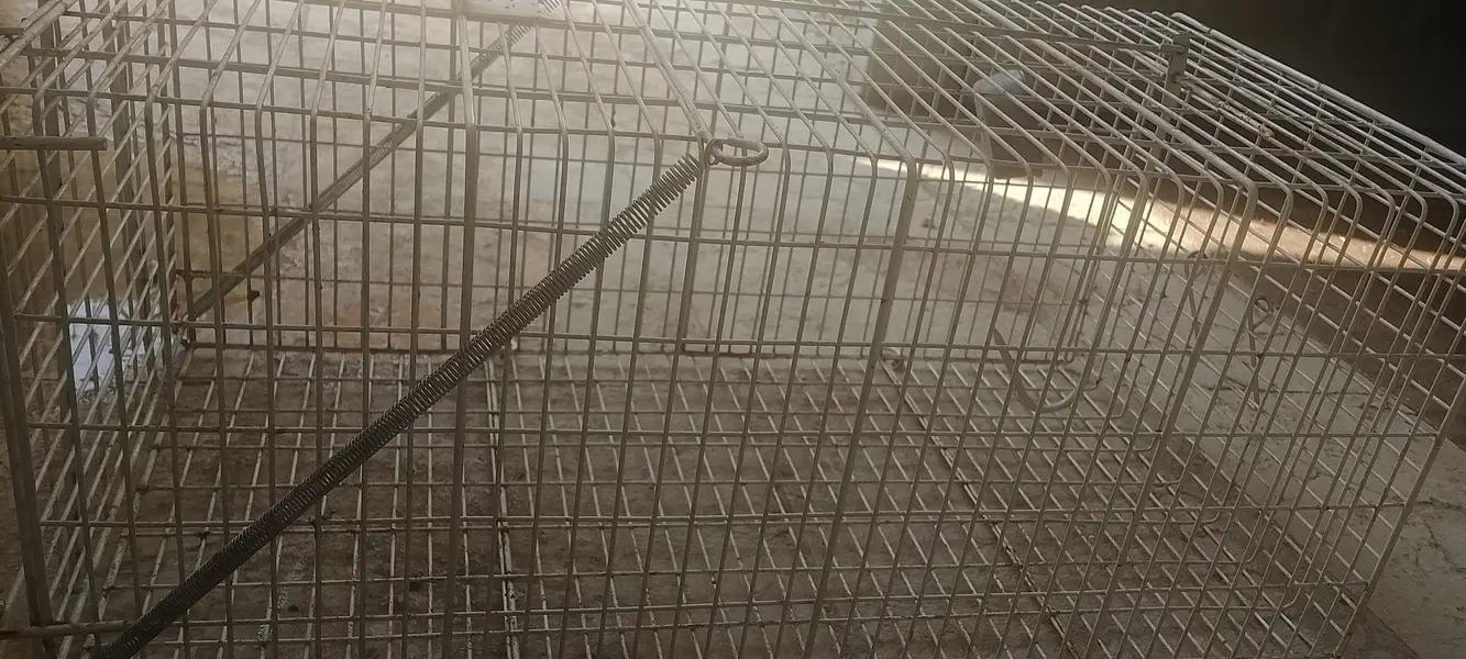 catch cage — photo 2